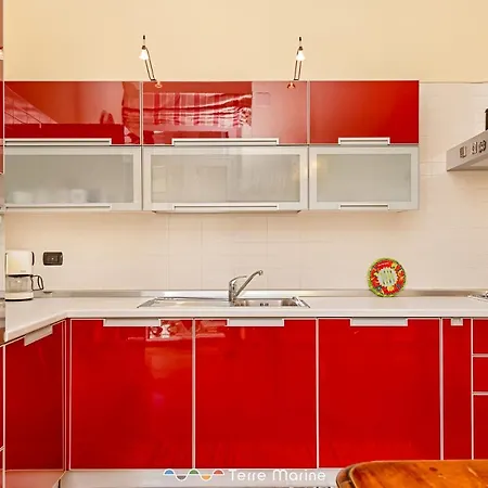 Gallery 22, Terremarine 斯培西亚